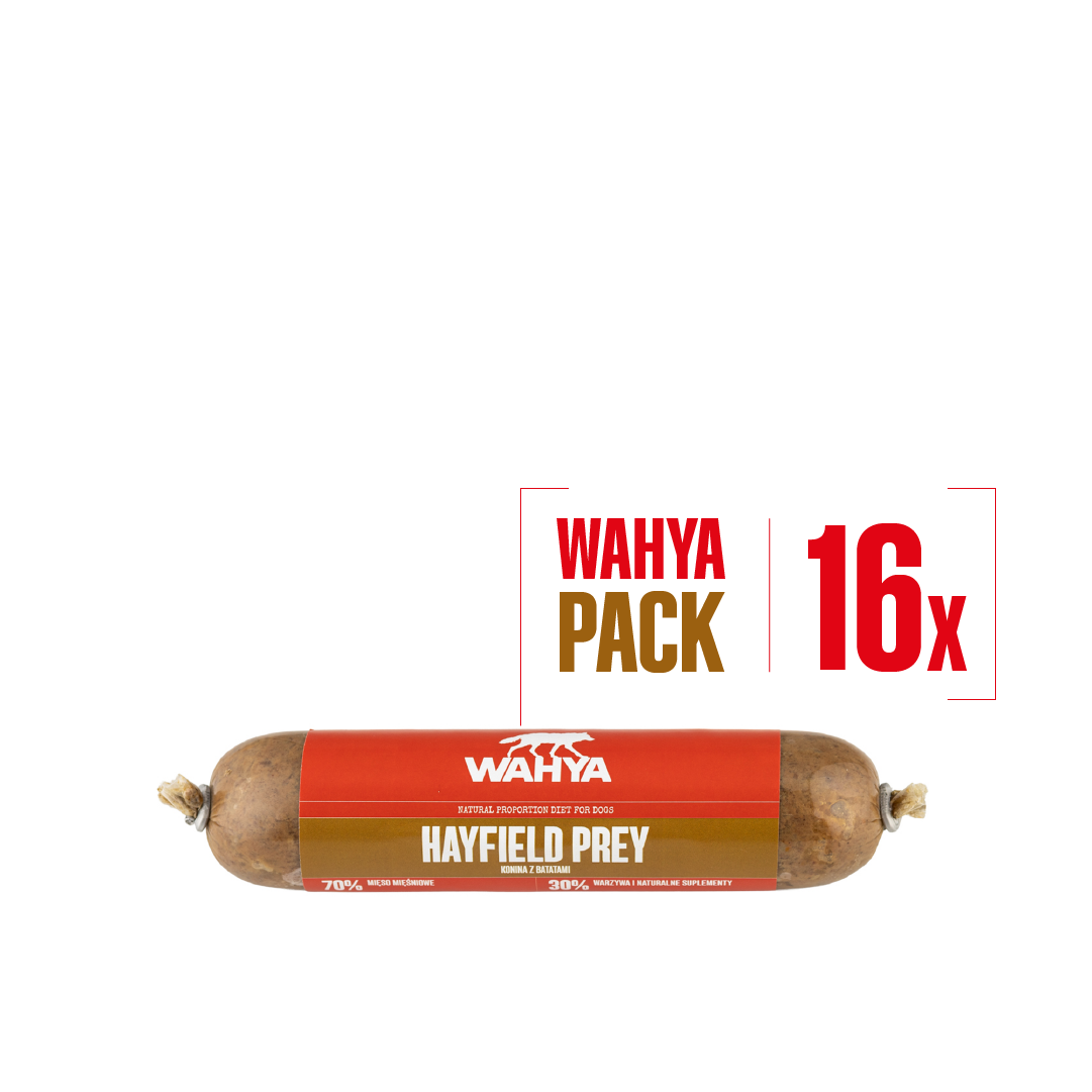 WAHYA® PACK Hayfield Prey 400g 16x